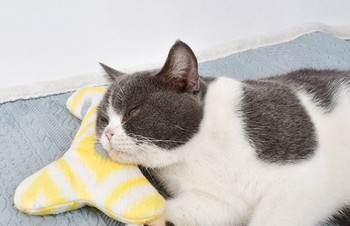 Μαξιλάρι σε τρία χρώματα - για γάτες