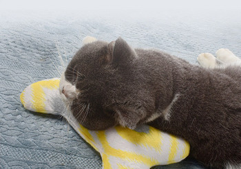 Възглавница в три цвята - за котки 