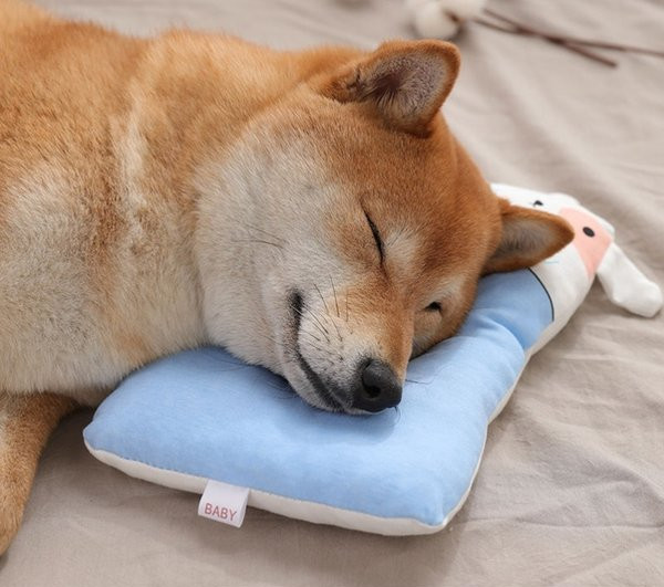 Pernă moale de pluș pentru pisici și câini