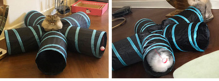 Tekstilinis tunelis žaidžiantiems katėms – skirtingi modeliai