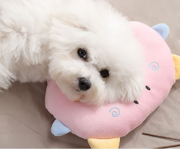 Perna potrivita pentru animale de companie