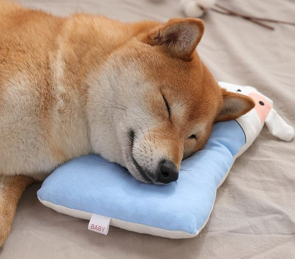 Perna potrivita pentru animale de companie