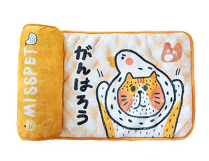 Värviline padi kassidele