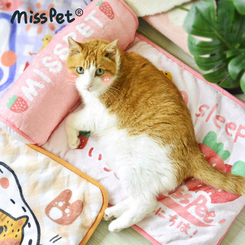 Χρωματιστό μαξιλάρι για γάτες