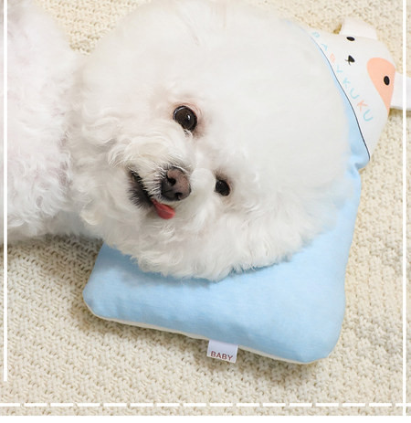 Perna pentru pisici si caini in doua modele