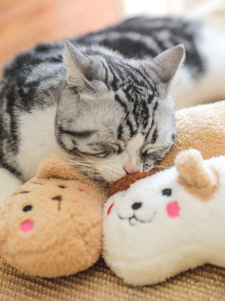 Tikandiga plüüsis kassipadi