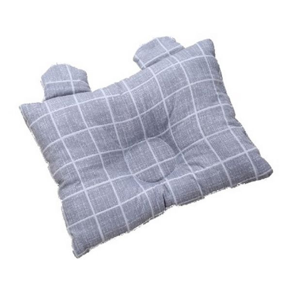 Lemmikloomadele sobiv padi