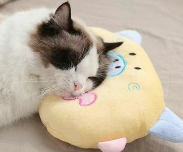 Μαλακό βελούδινο μαξιλάρι για γάτες και σκύλους