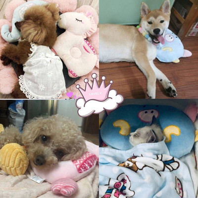 Μαλακό βελούδινο μαξιλάρι για γάτες και σκύλους