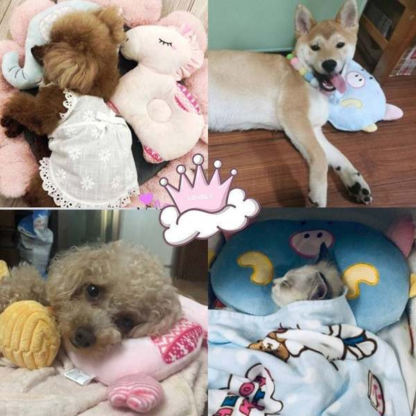 Μαλακό βελούδινο μαξιλάρι για γάτες και σκύλους