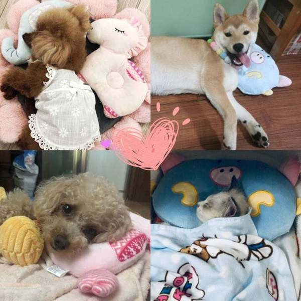 Μαλακό βελούδινο μαξιλάρι για γάτες και σκύλους