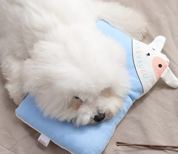 Perna pentru pisici in mai multe modele