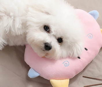 Perna pentru pisici in mai multe modele