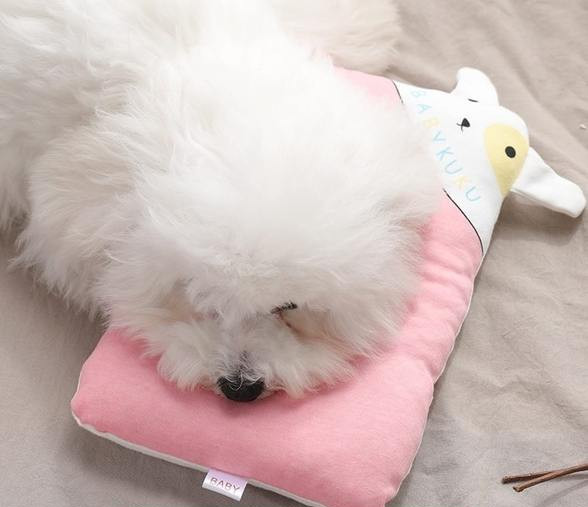 Perna pentru pisici in mai multe modele