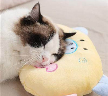 Βελούδινο  μαξιλάρι για γάτες