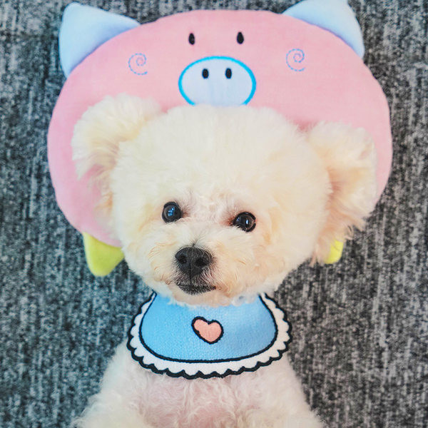 Perna pisica cu element 3D