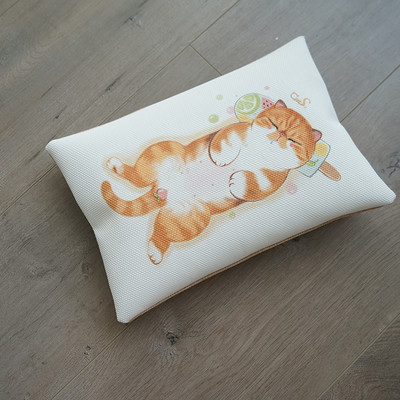 Värvilise trükiga ristkülikukujuline tekstiilist padi kassidele