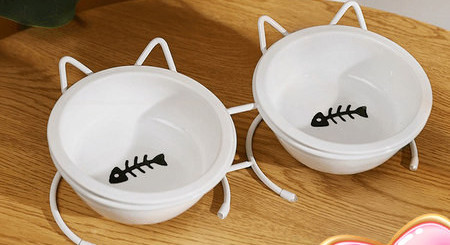 Bol din ceramică pentru pisici - simplu sau dublu