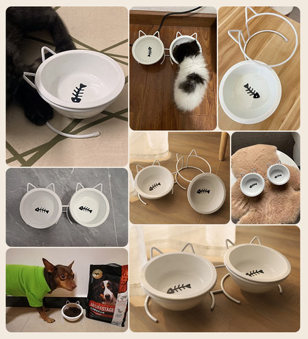 Bol din ceramică pentru pisici - simplu sau dublu