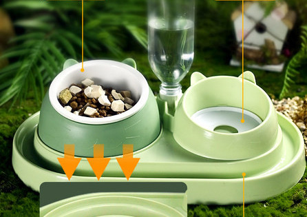 Kassi ühe- või kahekordne kauss kassidele - erinevad mudelid