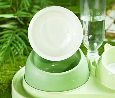 Kassi ühe- või kahekordne kauss kassidele - erinevad mudelid