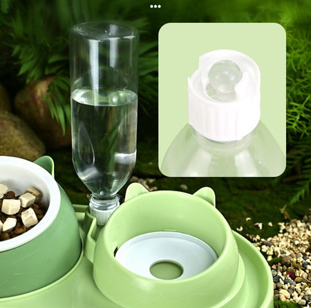 Kassi ühe- või kahekordne kauss kassidele - erinevad mudelid