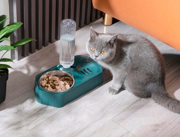 Bol dublu pentru hrana si apa pentru pisici