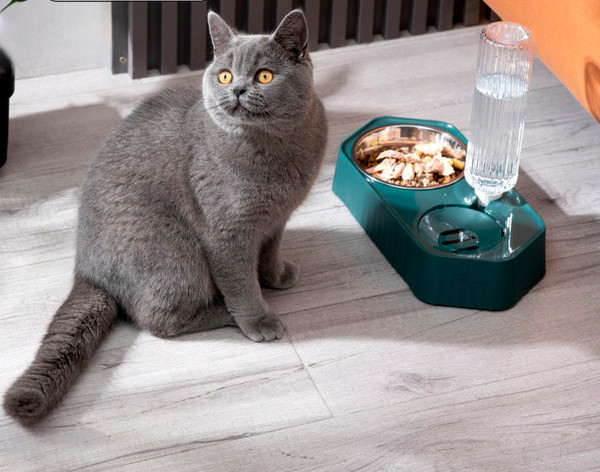 Bol dublu pentru hrana si apa pentru pisici