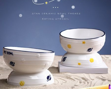 Bol ceramic pentru pisici - diferite modele