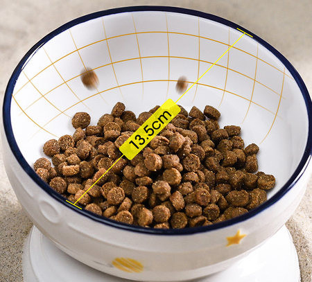 Bol ceramic pentru pisici - diferite modele