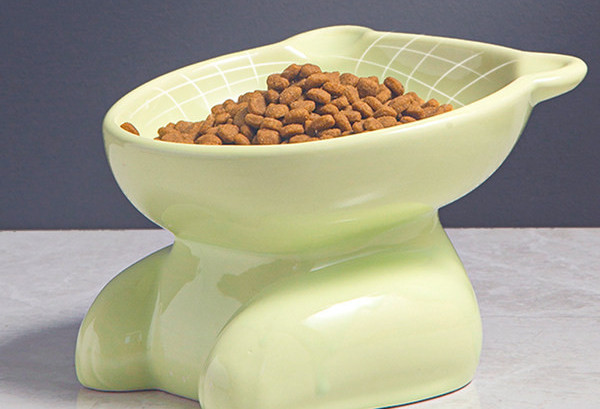 Keraamiline kauss kassitoidu jaoks alusel