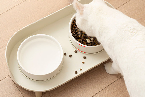 Bol potrivit pentru apă și hrană pentru animale de companie