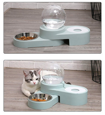 Μπολ γάτας για φαγητό και νερό - δύο μοντέλα