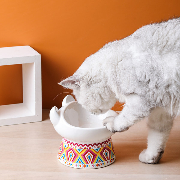 Bol cu mancare pentru pisici - mai multe modele