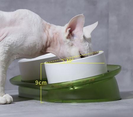 Διπλό μπολ για γατοτροφή