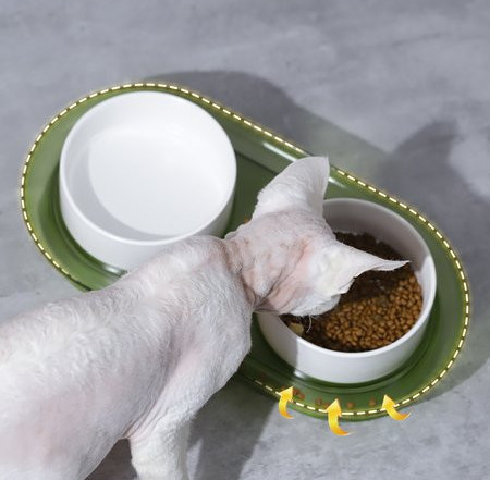 Διπλό μπολ για γατοτροφή