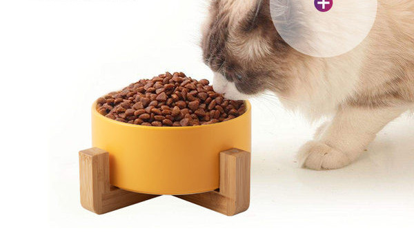 Bol rotund din ceramică pentru pisici