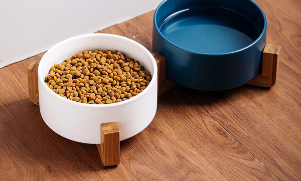 Bol rotund din ceramică pentru pisici