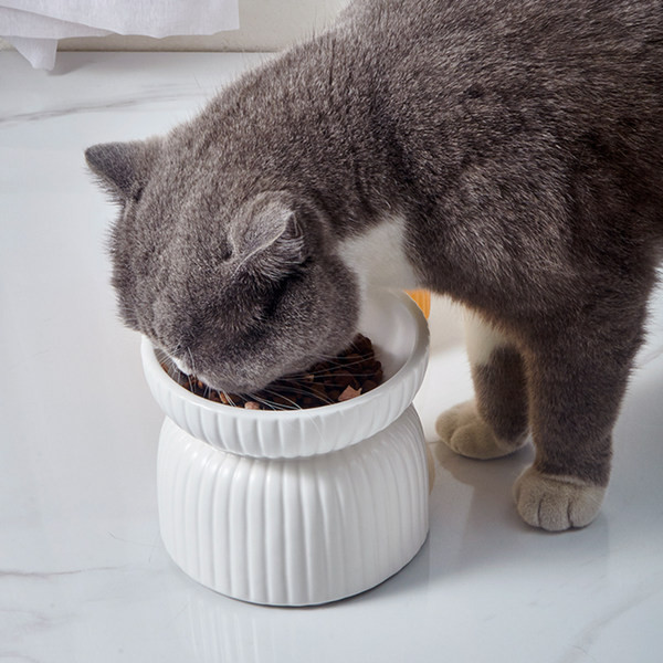 Купа за храна за котки 