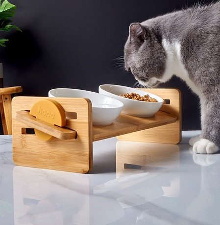 Mitmest keraamilisest kaussist koosnev komplekt kassidele