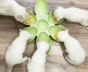 Пластмасова купичка с няколко отделения за храна на котки 