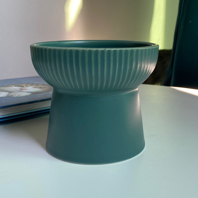 Ψηλό πλαστικό μπολ φαγητού - πολλά χρώματα