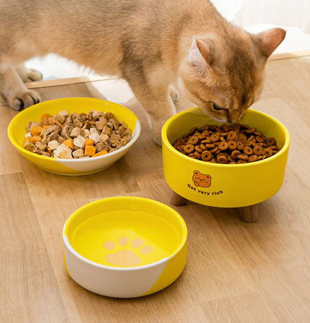 Bol rotund din ceramică pentru hrana pisicilor