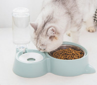 Bol dublu pentru pisici pentru apă și mâncare