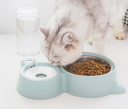 Bol dublu pentru pisici pentru apă și mâncare