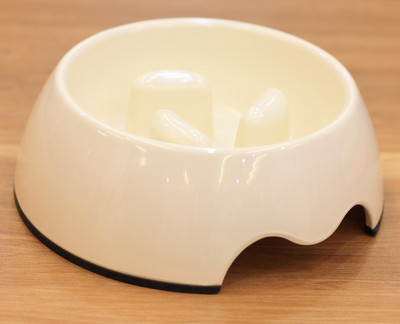 Πλαστικό μπολ για γατοτροφή