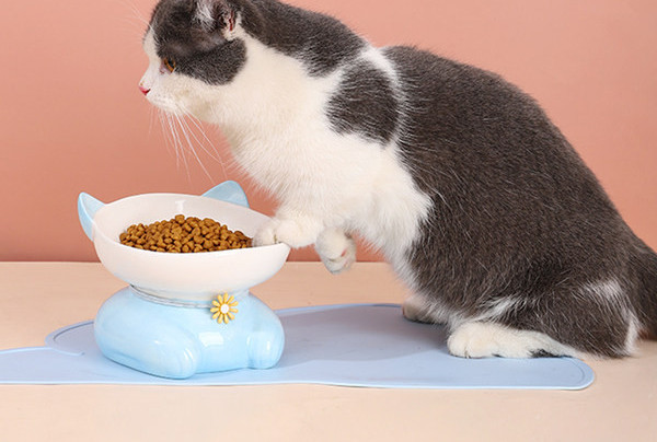 Bol din ceramică în formă de pisică