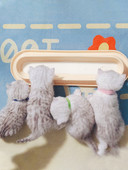 Μπολ γάλακτος - για γάτες