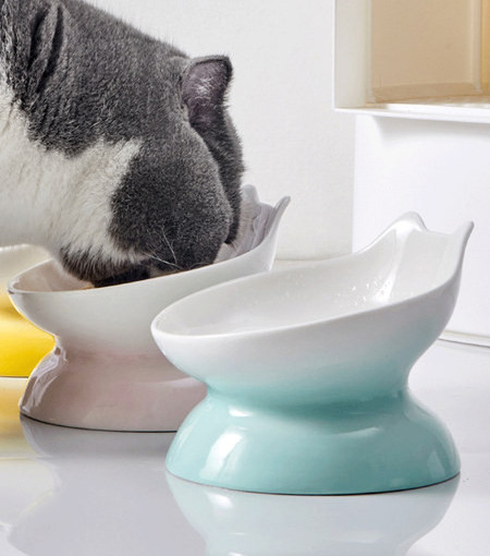 Bol din ceramică pentru pisici pe suport