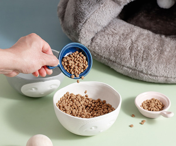 Bol din ceramica pentru mancarea pisicilor